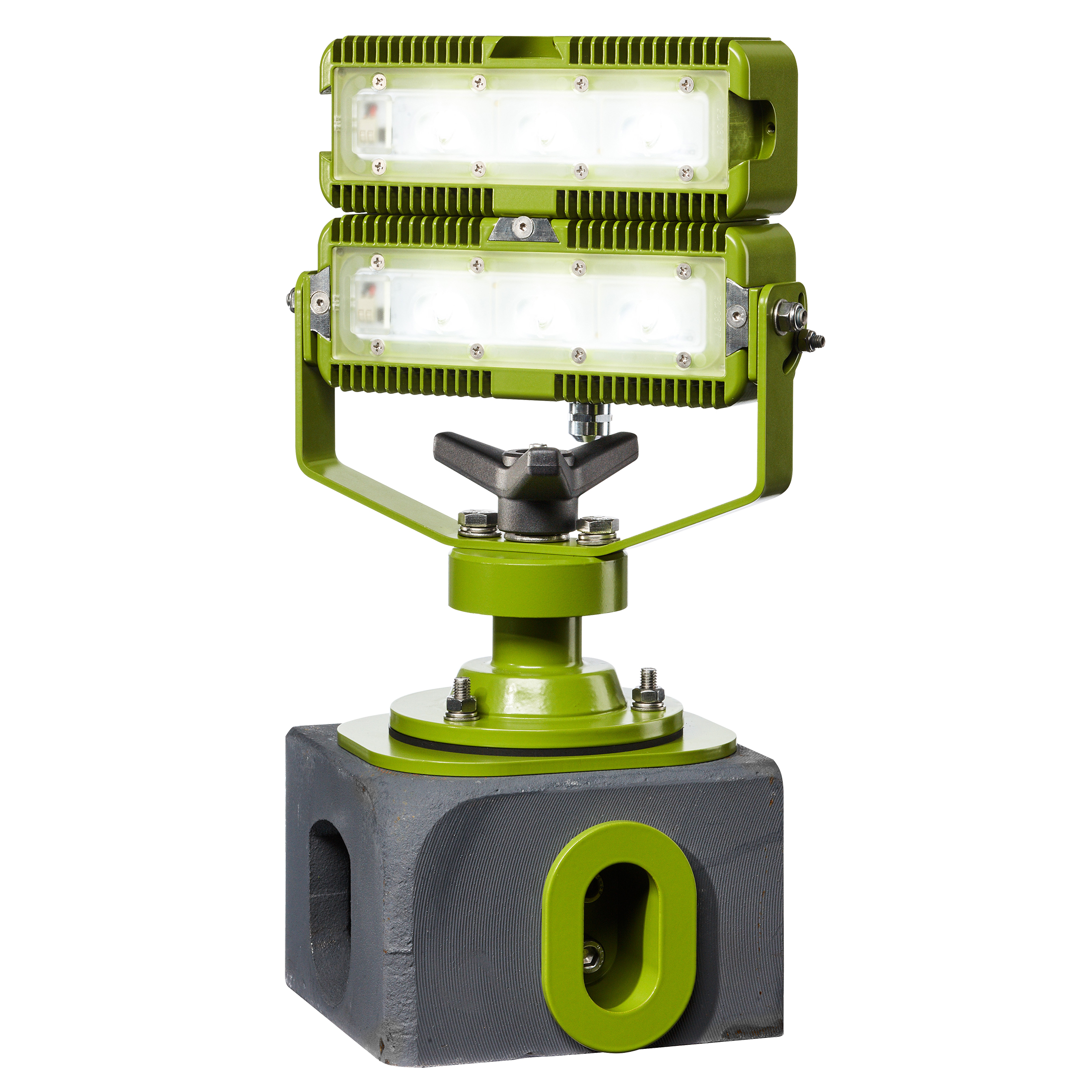 karl_dose_kondo_with_chamaeleon